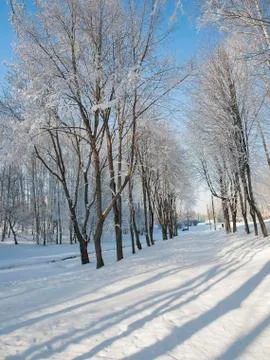 Frost park Stock Photos