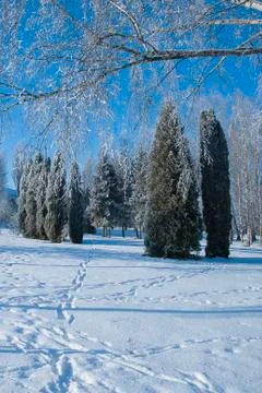 Frost park Stock Photos