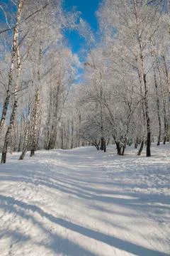 Frost park Stock Photos
