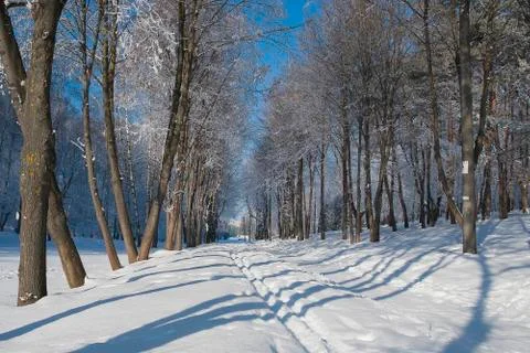 Frost park Stock Photos