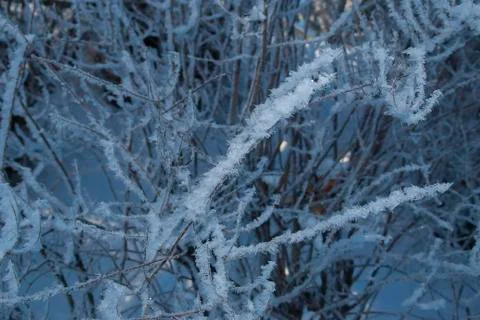 Frost park 스톡 사진