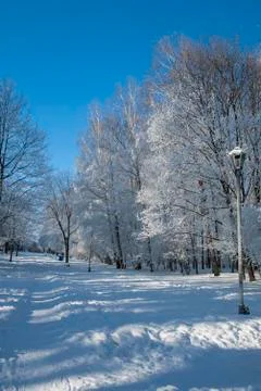 Frost park Stock Photos