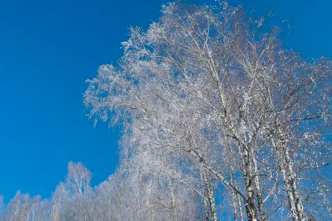 Frost park Stock Photos
