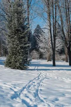 Frost park 스톡 사진