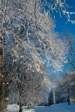 Frost park Stock Photos