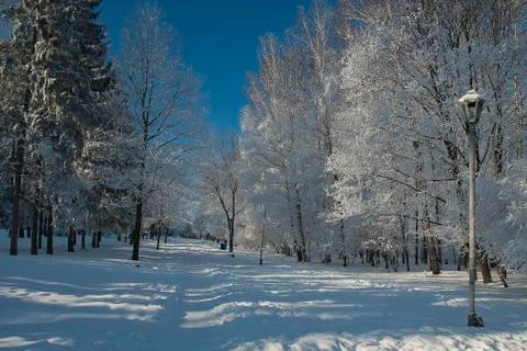 Frost park Stock Photos