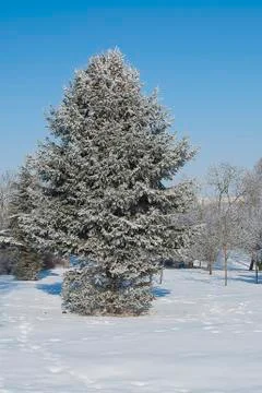 Frost park Stock Photos