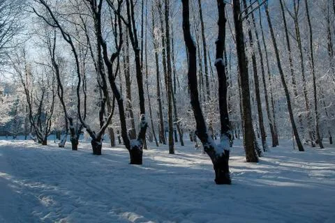 Frost park Stock Photos