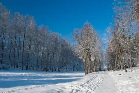 Frost park 스톡 사진