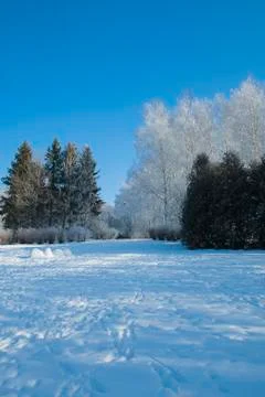 Frost park Stock Photos