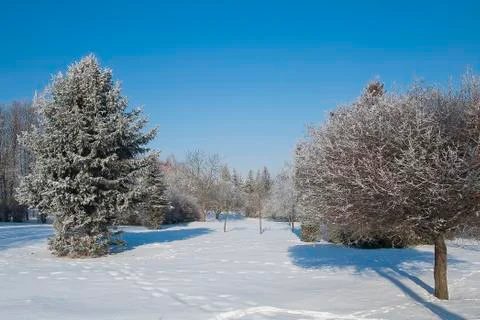Frost park Stock Photos