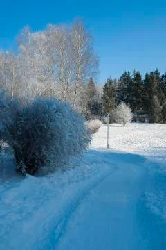 Frost park Stock Photos