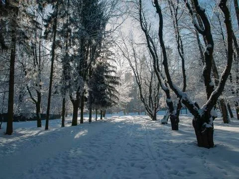 Frost park Stock Photos