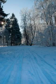 Frost park 스톡 사진