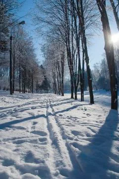 Frost park Stock Photos