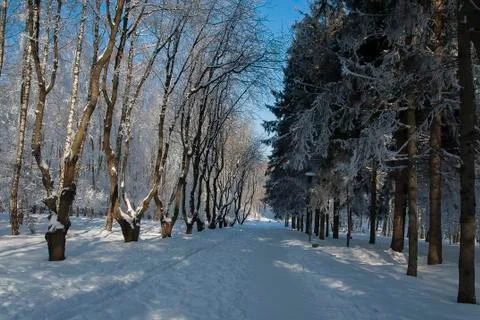 Frost park Stock Photos