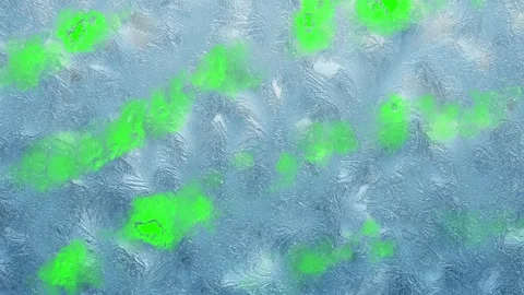 Frost pattern appearing on green screen background​​ Video stock 319436703