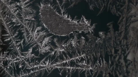 Frost pattern on glass Stock Footage 60563569
