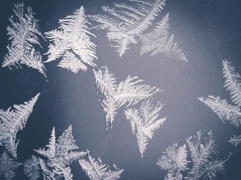 Frost pattern Stock Photos