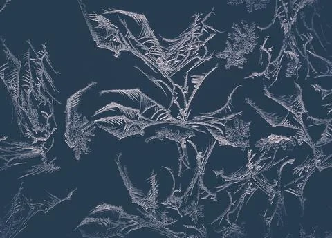 Frost pattern Stock Photos