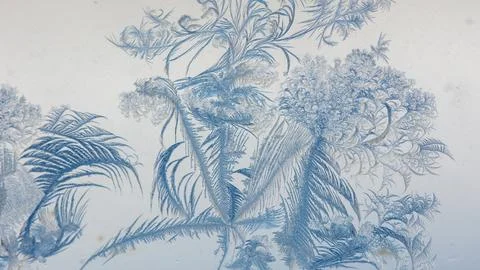 Frost pattern on window glass as background Stock Photos