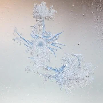 Frost pattern on window glass as background Stock Photos