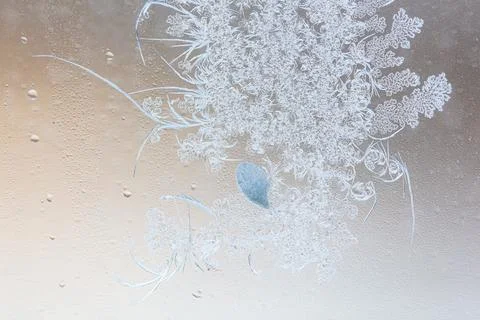 Frost pattern on window glass as background Stock Photos