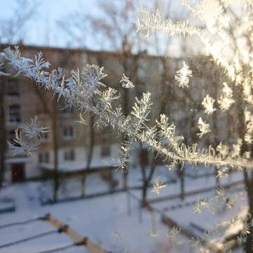Frost pattern on window glass. ice crystals glow from the rays of the setting Foto stock