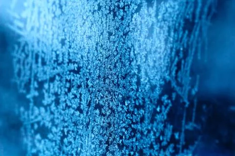 Frost pattern on the window Stock Photos
