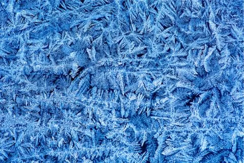 Frost pattern on the window Stock Photos