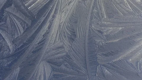 Frost patterns and delicate shapes Stock Footage 262284733