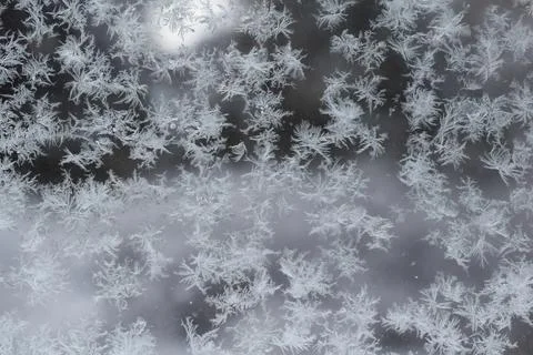 Frost patterns and delicate snow crystals on a glass window pane Fotos Stock
