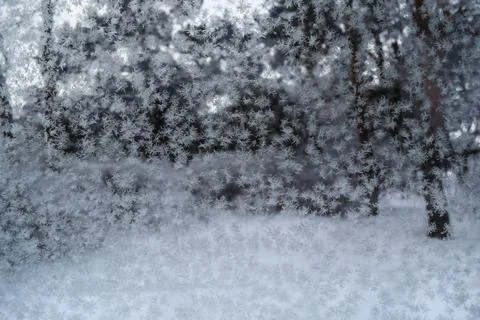 Frost patterns and delicate snow crystals on a glass window pane Stock Photos