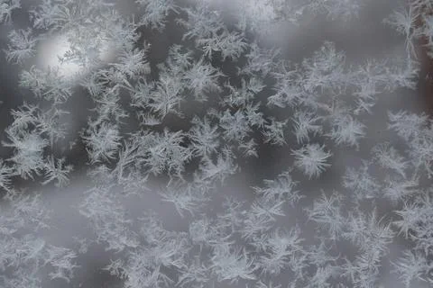 Frost patterns and delicate snow crystals on a glass window pane Stockfoto's