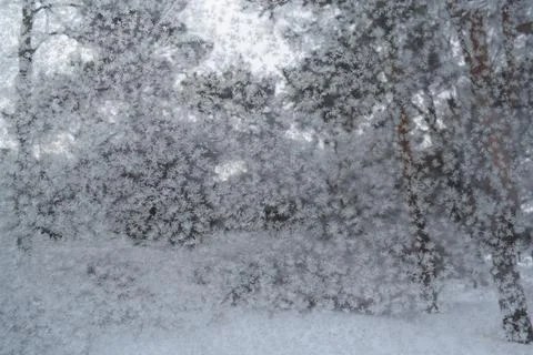 Frost patterns and delicate snow crystals on a glass window pane Photos