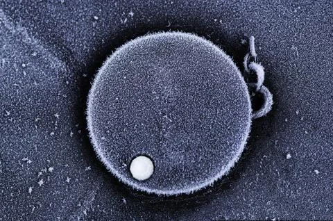 Frost patterns on frozen winter window as a symbol of Christmas wonder. Mis.. Stock Photos