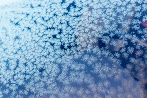 Frost patterns on a glass window creates winter themed patterns with a blue w Stock Photos
