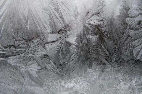 Frost patterns Stock Photos