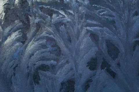 Frost patterns Stock Photos
