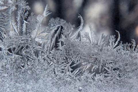 Frost patterns on winter glass Stock Photos