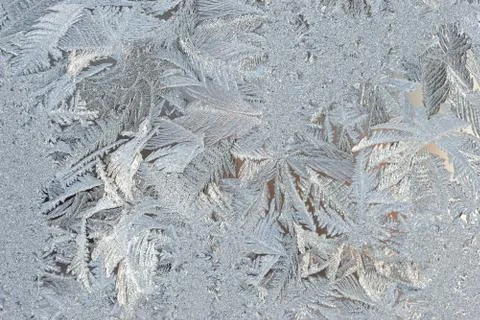 Frost Stock Photos
