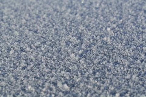 Frost Stock Photos