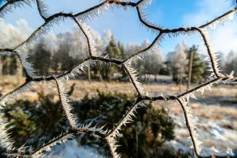Frost Stock Photos