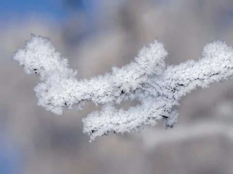 Frost Stock Photos