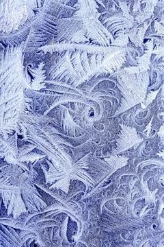 Frost Stock Photos