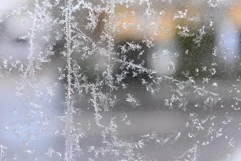 Frost Foto stock