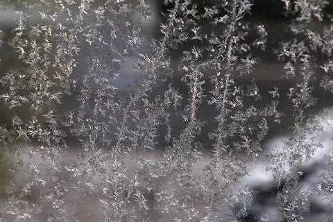 Frost Foto stock