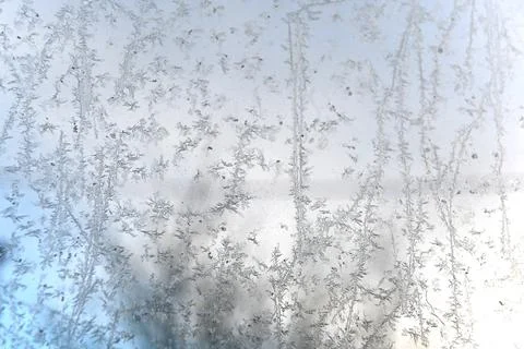Frost Foto stock