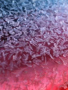 Frost on Plastic 스톡 사진