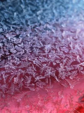 Frost on Plastic 스톡 사진